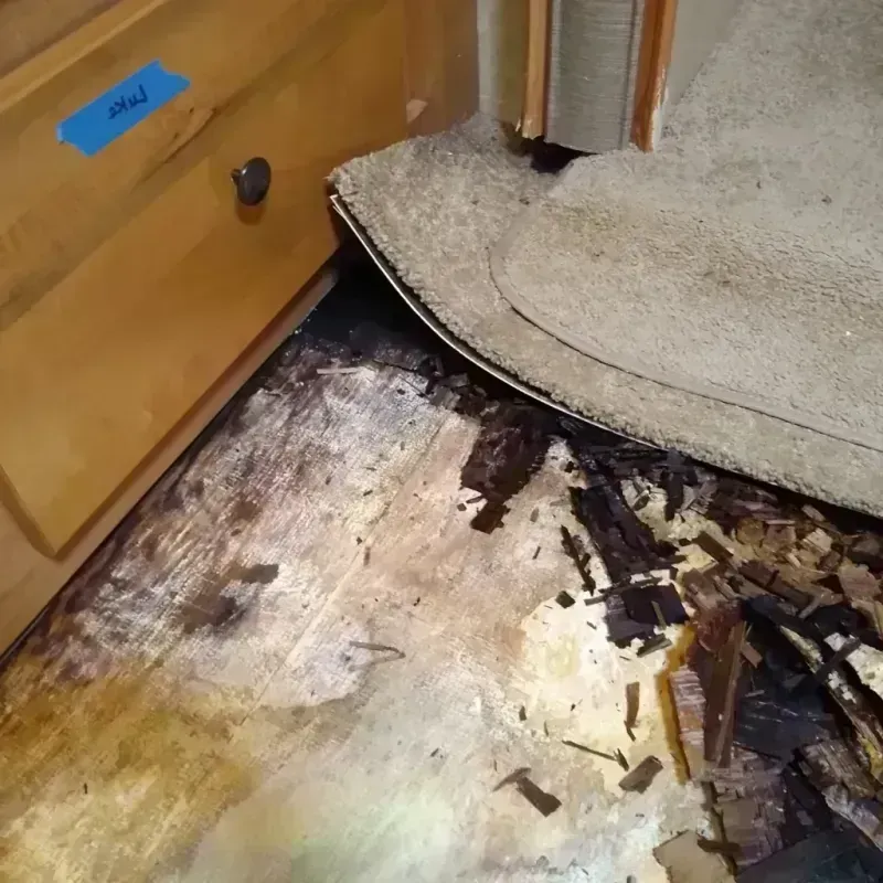 Wood Floor Water Damage in Pierce County, NE